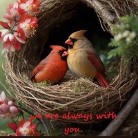 christy (@christy05364631) 's Twitter Profile Photo