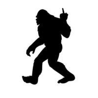 Carl (@cr67tx) 's Twitter Profile