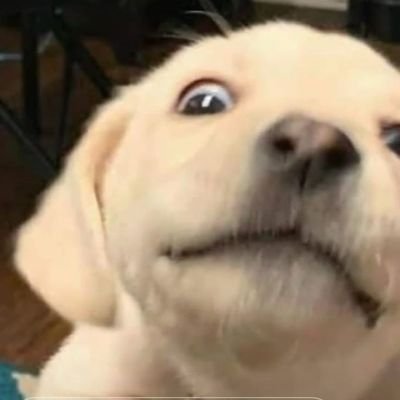 ZEEHUN_D's profile picture. 