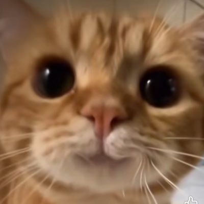 ArloSaklam's profile picture. I'm just a human