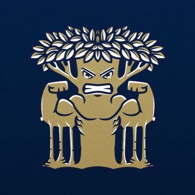 The Official Twitter account for New College of Florida Athletics, located in Sarasota, FL. 🏝️ Members of the NAIA, Sun Conference. #MightyBanyans