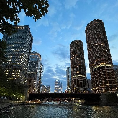 QQ01903810's profile picture. 테슬라 투자자