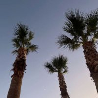 MB (@mera_alb) 's Twitter Profile