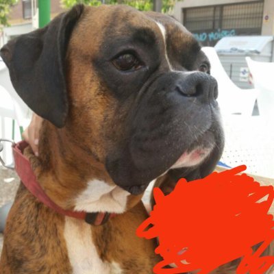killer_va's profile picture. 