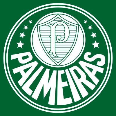 Palmeiras Feminino Profile