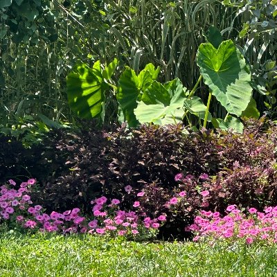 Petieshell77's profile picture. Jesus loving, conservative American MAGA MAHA Married. God, Country and Family! Former navy brat! No DMs No calls