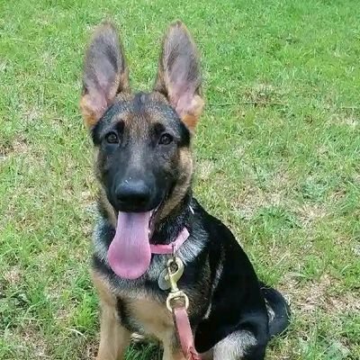 PhillipWil998's profile picture. 