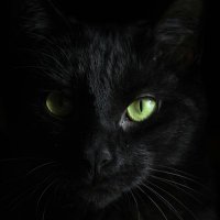 Iyi (@helayxv) 's Twitter Profile Photo Iyi (@helayxv) 's Twitter Profile Photo
