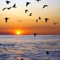 صبري حواس (@sabryhawas) 's Twitter Profile