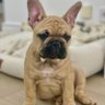 Bruno_Prawy's profile picture. 