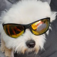 Philippdome (@philippdome) 's Twitter Profile