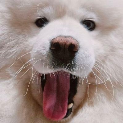 18+ only, 2X, fluff enjoyer, BIG enjoyer, tidiest grinch feet on earth.
do not RP/use my characters.Eng/Esp 🇻🇪🇪🇸🇨🇦
Model: @LeotheModeler
moved to 👇