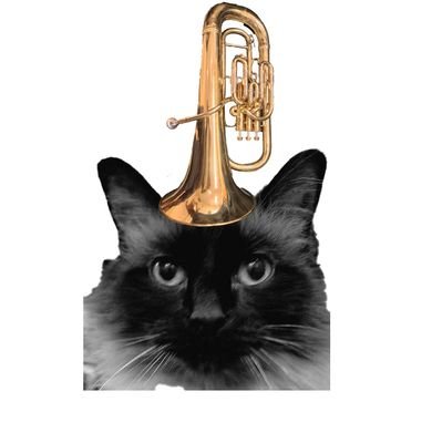 an Engineering Cat who knows where it's at.
#NAFO #NAFOFellas new account to remove personal info