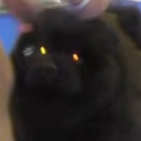 Beirao (@0xbeirao) 's Twitter Profile Photo