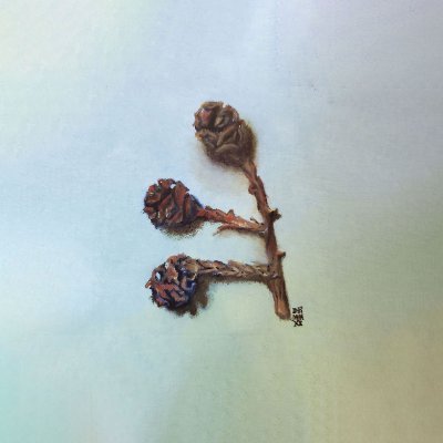 etheredge_art's profile picture. Artist & gardener. Inspired by nature. Collector of leaves, flowers, feathers & seeds. Working mostly in oils. Knoxville, TN.