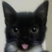 romanski (@rrrr0mern) 's Twitter Profile Photo