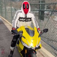 Shimmoda (@shimmoda) 's Twitter Profile