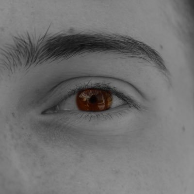 iamalesssandro's profile picture. 