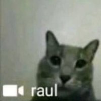 Raul Açucarado (@raulcsar13) 's Twitter Profile