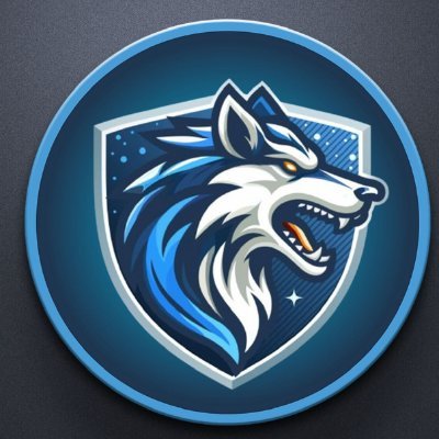 Official Twitter of LSA | Academics + Football | Home of the Timberwolves | East Coast Power Prep League (ECP) | HC - @The1AndOnlyOB | Varsity & JV 🏈 🏃♂️ 🤼