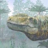 MSci Palaeontology & Geology graduate student @unibirmingham. He/him.
Researcher of evolutionary palaeobiology and palaeoecology of choristoderes and more