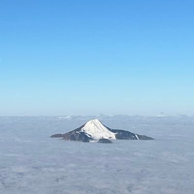 Halexx__'s profile picture. 