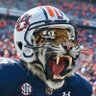 S_P_Gibbs's profile picture. WAR DAMN EAGLE 🦅 EYE OF THE TIGER 🐅 KEEP PUNCHING APPOLO 🥊 🔔