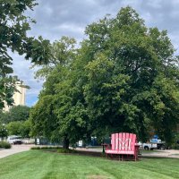 Taghreed Alhazmi (@taghreedalhazm1) Twitter profile photo