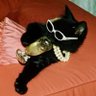 Alientje777's profile picture. 