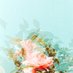 qw8 (@qw8qw8) Twitter profile photo qw8 (@qw8qw8) Twitter profile photo
