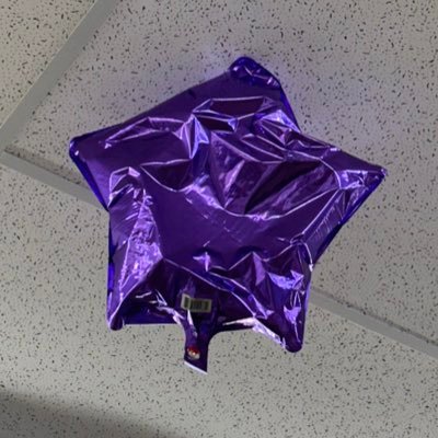 chloabler's profile picture. world’s hottest beanie baby collector :･ﾟ★,｡･:*:･ﾟ☆