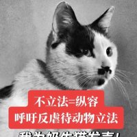 animal abuse isn’t a crime in China (@jftmrpfjep888) 's Twitter Profile Photo animal abuse isn’t a crime in China (@jftmrpfjep888) 's Twitter Profile Photo