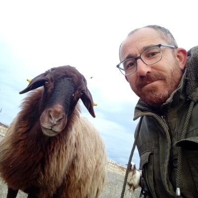 Dünya para için anasını babasını bile sata bilecek yavşak insanlarla dolu.
Çirkin Kıral