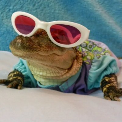 floridian dirtbagさんのプロフィール画像