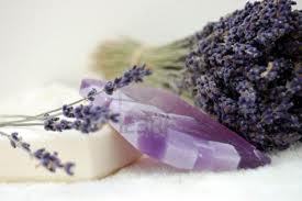 TineLayusNatur1's profile picture. We have a Natural concept to balance beauty and Earth back to the origin.