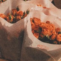 jsjsjsjjsjsj (@onsraa26) Twitter profile photo