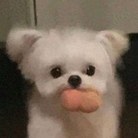 소미 (@somiseu9) 's Twitter Profile Photo 소미 (@somiseu9) 's Twitter Profile Photo