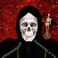 NinaLuna♐️🐝🎶🐾🪶🌙🟦🏴🌊🇺🇦🇮🇱🌈 (@ninal22292) 's Twitter Profile