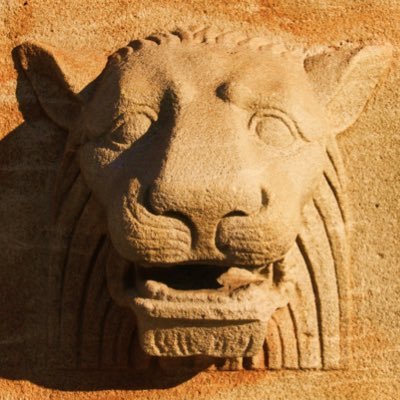 Marshan1776's profile picture. I have opinions!