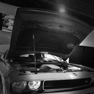 CostaNettho's profile picture. 