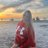 MaraBravo15's profile image