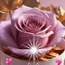 أزهار محمد (@azhar554556) Twitter profile photo أزهار محمد (@azhar554556) Twitter profile photo