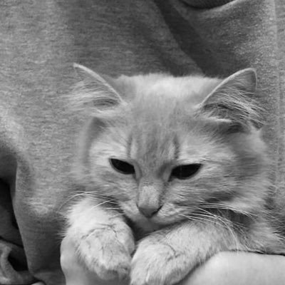 29_nonii's profile picture. 