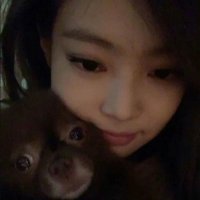 πββ¬ (@jnkspetal) 's Twitter Profile