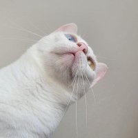 Over (@itsovrr) 's Twitter Profile Photo Over (@itsovrr) 's Twitter Profile Photo