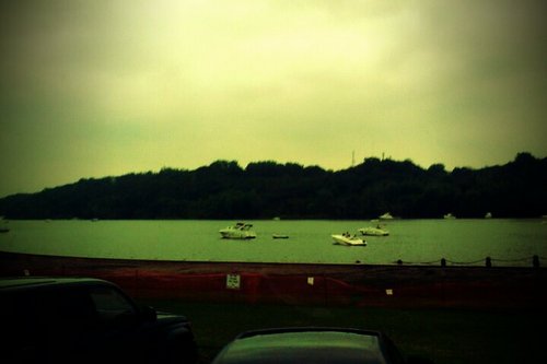 rmsaldana's profile picture. 