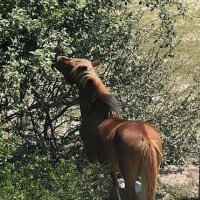 Patty B (@mistybludiamond) 's Twitter Profile