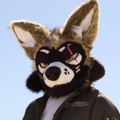 Zeph Profile