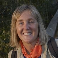 Meg Lowman (@canopymeg) 's Twitter Profile