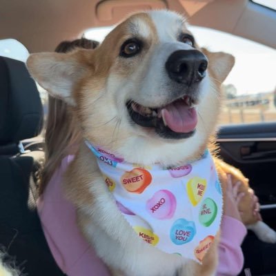 Kim074435053789's profile picture. 